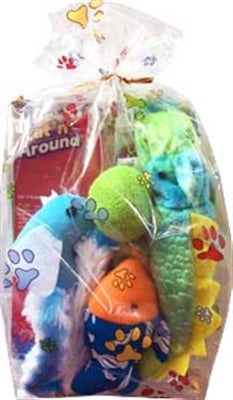 Fun in the Sun Cat Gift Bag