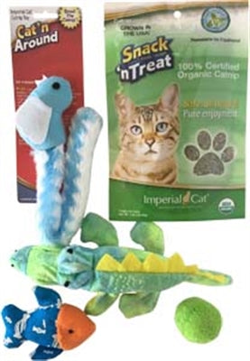 Fun in the Sun Cat Gift Bag