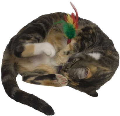 Wild Wobbler Toy
