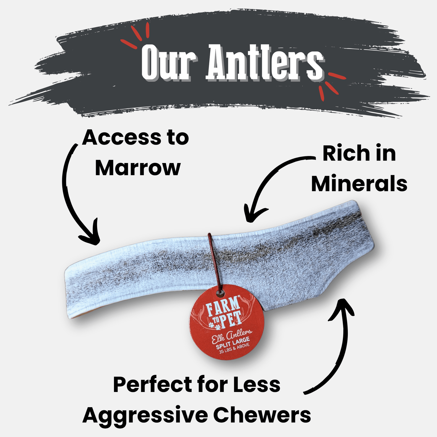 Elk Antler Dog Chews | All-Natural Whole and Split Elk Antler Chews for Dogs