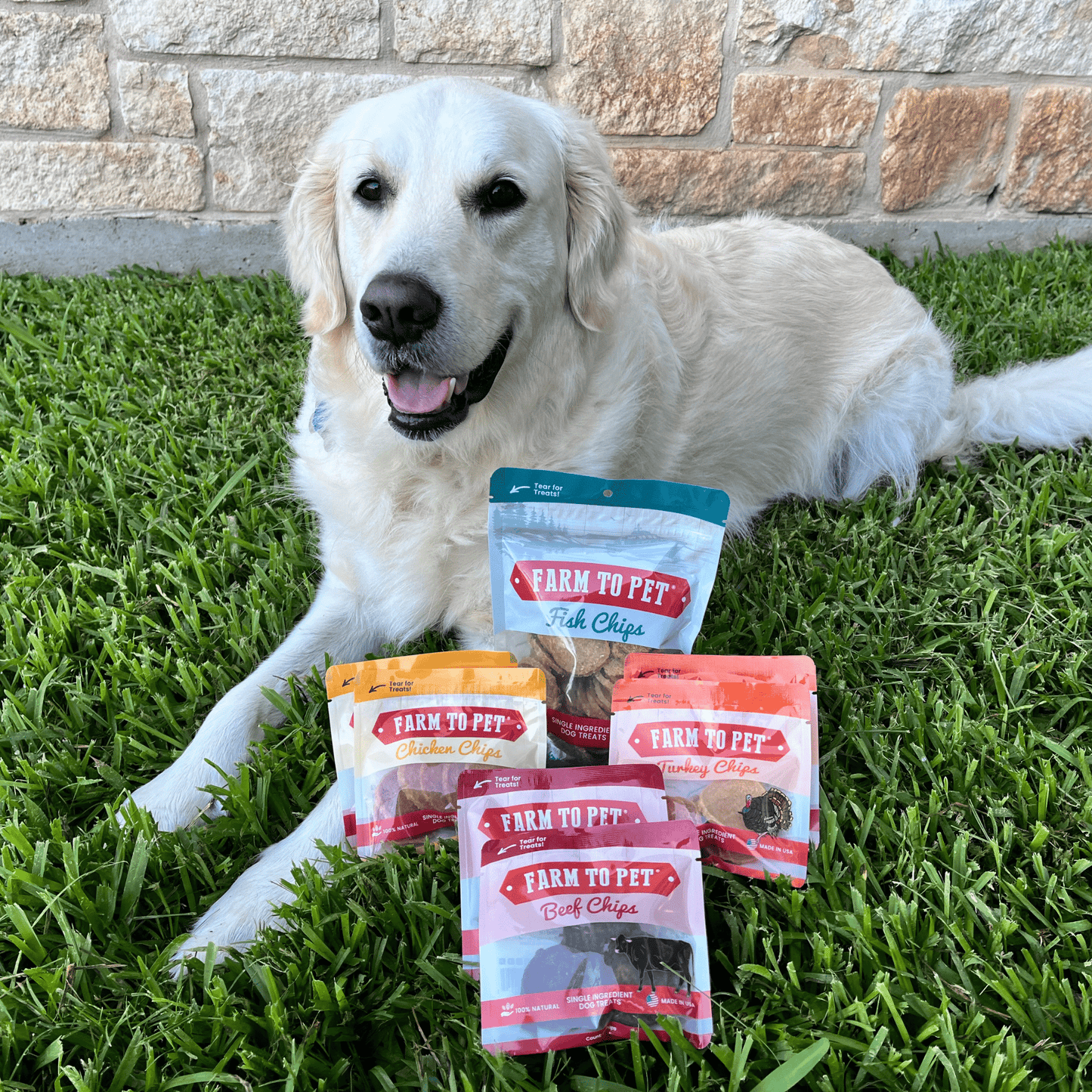 Puppy Packs 'n Snacks Dog Treat Starter Pack | Single-Ingredient Training Treats