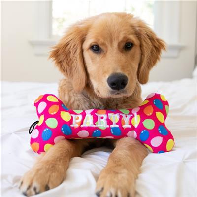 Party Time Bone Dog Toy