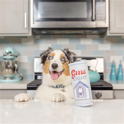 Grrrs Light Dog Toy