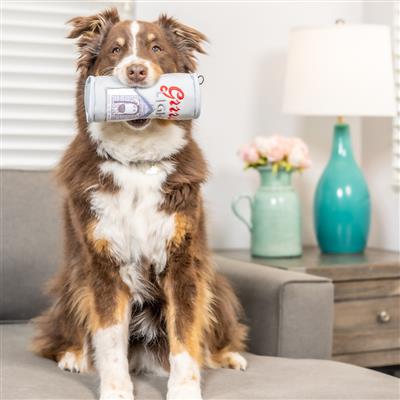 Grrrs Light Dog Toy