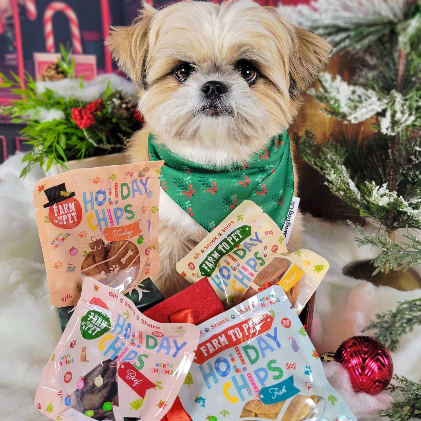 Seasons Treatings Dog Treats & Accessory Box